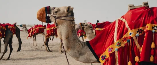 Bertamini_slide_Saudi